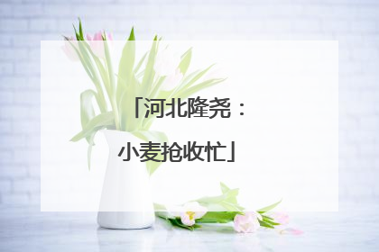 河北隆尧:小麦抢收忙