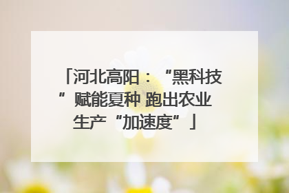 河北高阳：“黑科技”赋能夏种 跑出农业生产“加速度”
