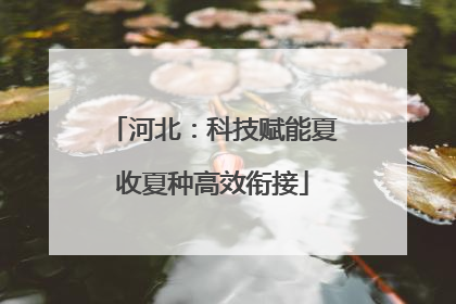 河北：科技赋能夏收夏种高效衔接