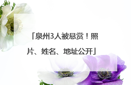 泉州3人被悬赏！照片、姓名、地址公开