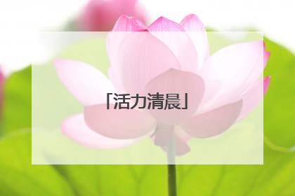 活力清晨
