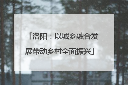 洛阳：以城乡融合发展带动乡村全面振兴