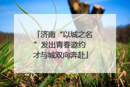 济南“以城之名”发出青春邀约 才与城双向奔赴