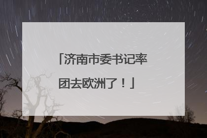 济南市委书记率团去欧洲了！
