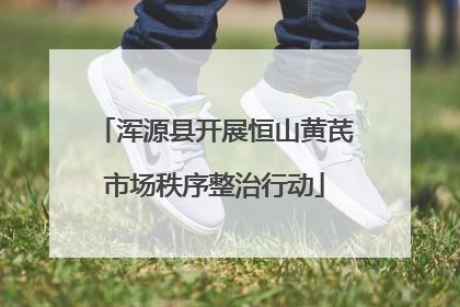 浑源县开展恒山黄芪市场秩序整治行动