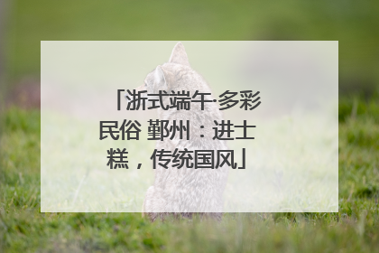 浙式端午·多彩民俗 鄞州：进士糕，传统国风