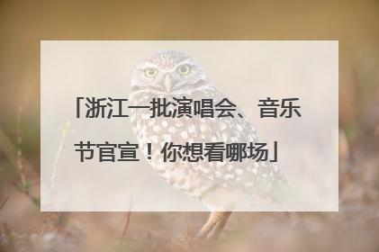 浙江一批演唱会、音乐节官宣！你想看哪场