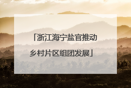 浙江海宁盐官推动乡村片区组团发展