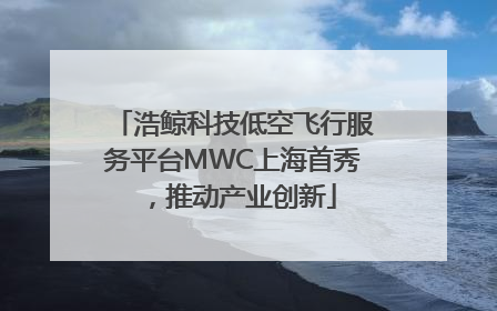 浩鲸科技低空飞行服务平台MWC上海首秀，推动产业创新
