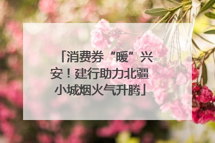 消费券“暖”兴安！建行助力北疆小城烟火气升腾