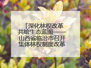 深化林权改革 共绘生态蓝图——山西省临汾市召开集体林权制度改革专题研讨会