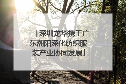 深圳龙华携手广东潮阳深化纺织服装产业协同发展