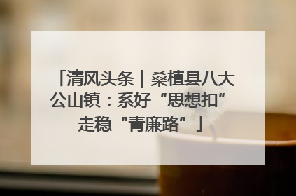 清风头条｜桑植县八大公山镇：系好“思想扣” 走稳“青廉路”