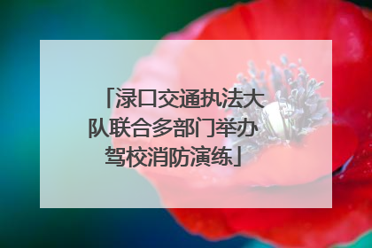 渌口交通执法大队联合多部门举办驾校消防演练