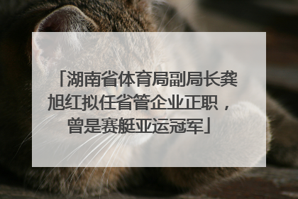 湖南省体育局副局长龚旭红拟任省管企业正职，曾是赛艇亚运冠军