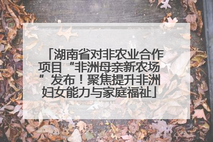 湖南省对非农业合作项目“非洲母亲新农场”发布！聚焦提升非洲妇女能力与家庭福祉
