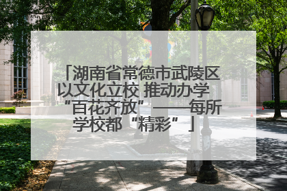 湖南省常德市武陵区以文化立校 推动办学“百花齐放”——每所学校都“精彩”