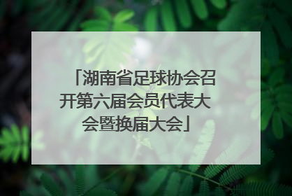 湖南省足球协会召开第六届会员代表大会暨换届大会