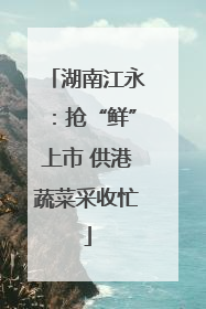 湖南江永：抢“鲜”上市 供港蔬菜采收忙