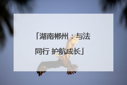 湖南郴州：与法同行 护航成长