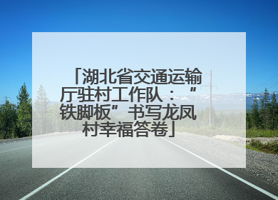 湖北省交通运输厅驻村工作队：“铁脚板”书写龙凤村幸福答卷