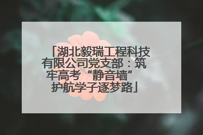 湖北毅瑞工程科技有限公司党支部：筑牢高考“静音墙” 护航学子逐梦路