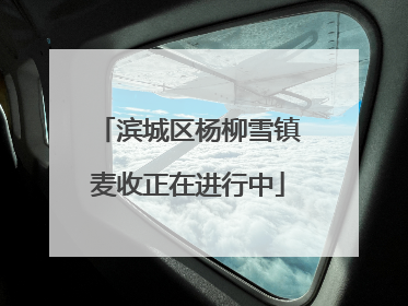 滨城区杨柳雪镇麦收正在进行中