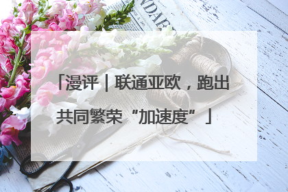 漫评｜联通亚欧，跑出共同繁荣“加速度”