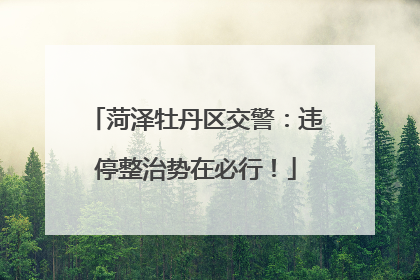 菏泽牡丹区交警：违停整治势在必行！