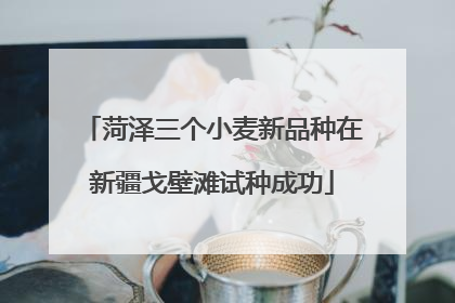 菏泽三个小麦新品种在新疆戈壁滩试种成功