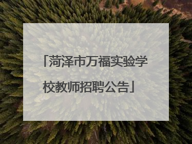 菏泽市万福实验学校教师招聘公告