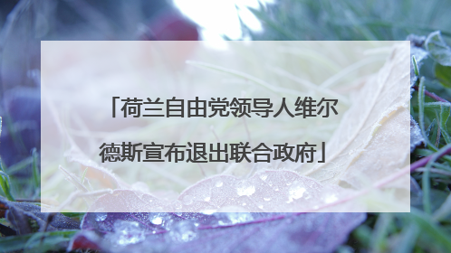 荷兰自由党领导人维尔德斯宣布退出联合政府