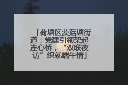 荷塘区茨菇塘街道：党建引领架起连心桥，“双联夜访”织就端午情