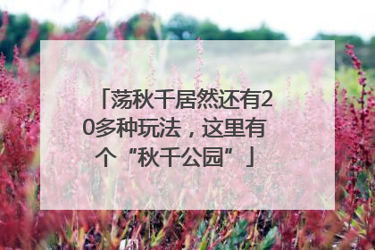 荡秋千居然还有20多种玩法，这里有个“秋千公园”