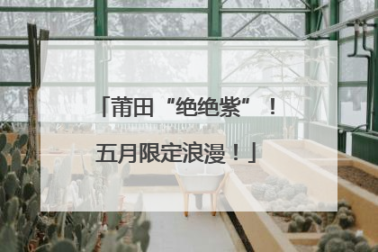 莆田“绝绝紫”！五月限定浪漫！