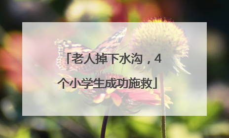 老人掉下水沟，4个小学生成功施救