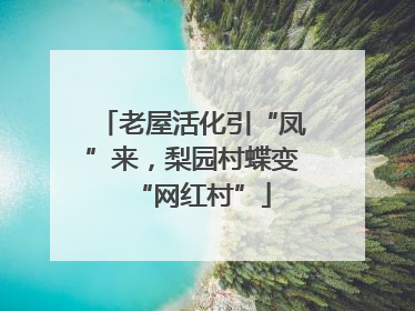 老屋活化引“凤”来，梨园村蝶变“网红村”