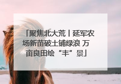聚焦北大荒丨延军农场新苗破土铺绿浪 万亩良田绘“丰”景