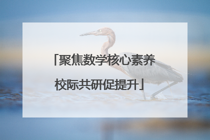 聚焦数学核心素养 校际共研促提升