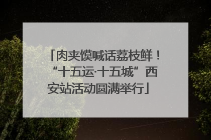 肉夹馍喊话荔枝鲜！“十五运·十五城”西安站活动圆满举行
