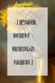 肥城槐树坡村：槐坡风动绿藤新