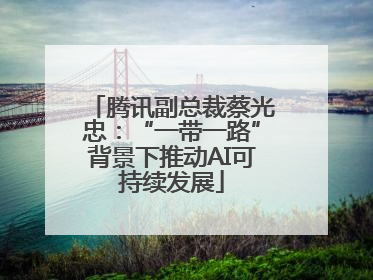 腾讯副总裁蔡光忠：“一带一路”背景下推动AI可持续发展