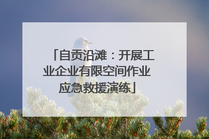 自贡沿滩：开展工业企业有限空间作业应急救援演练