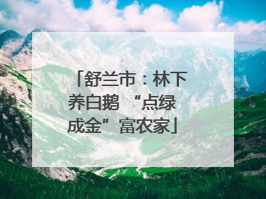 舒兰市：林下养白鹅 “点绿成金”富农家