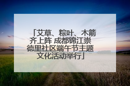 艾草、粽叶、木箭齐上阵 成都锦江崇德里社区端午节主题文化活动举行