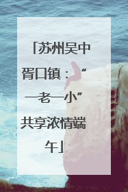 苏州吴中胥口镇：“一老一小”共享浓情端午