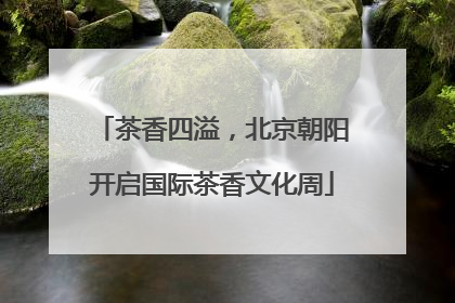 茶香四溢，北京朝阳开启国际茶香文化周