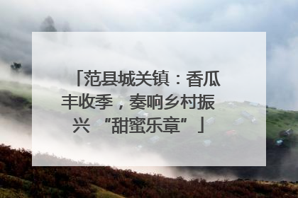 范县城关镇：香瓜丰收季，奏响乡村振兴 “甜蜜乐章”