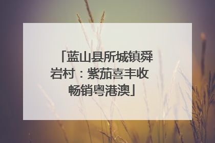蓝山县所城镇舜岩村：紫茄喜丰收 畅销粤港澳