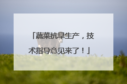 蔬菜抗旱生产，技术指导意见来了！